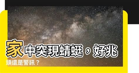 蜻蜓 風水|【家裡出現蜻蜓代表什麼】家中突現蜻蜓，好兆頭還是警訊？